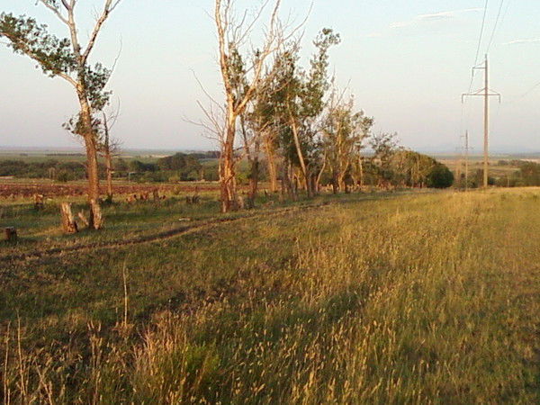 Владимир Кайгородов