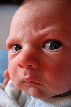 Сергей Фёдорович Липовский