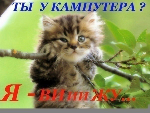 Ольга Бузик-Передня