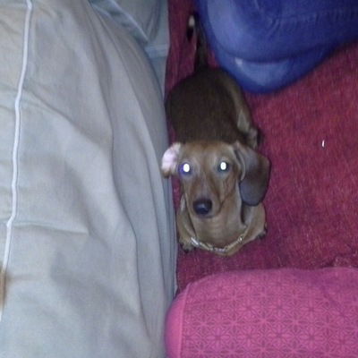 Алиса Русских