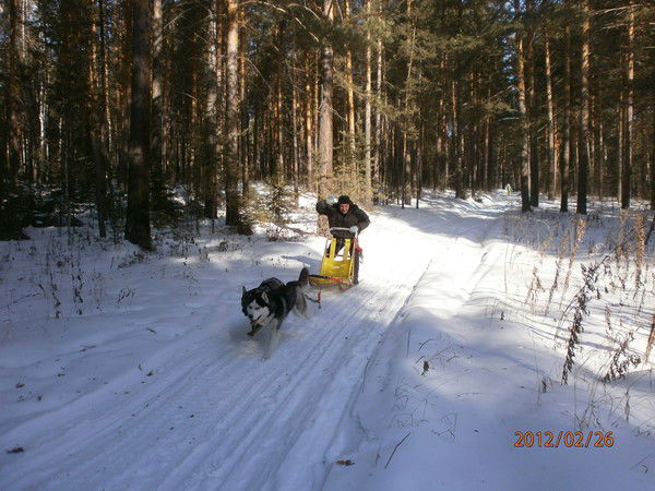 Евгений Ефанов