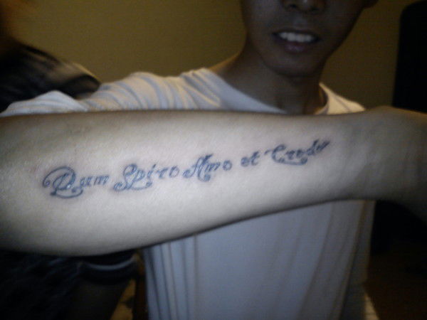 Марк Шеломенцев