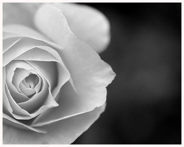 Сергей И Инна Бек