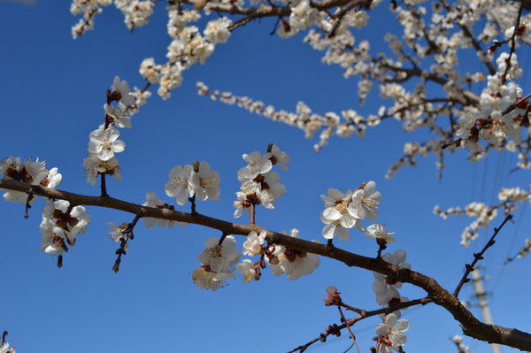 Олег Дудчик