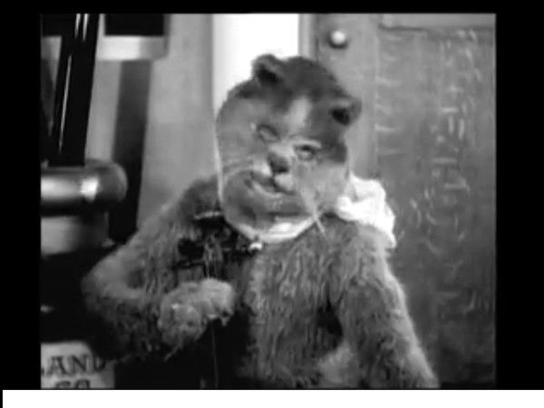 Рома Свободнов