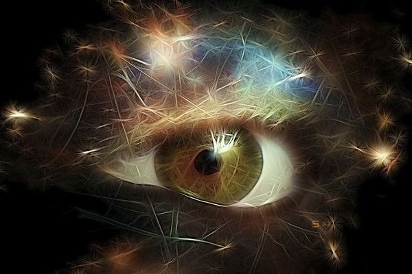 Владимир Вутман