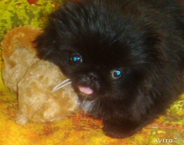 Ирина Махначева