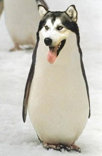 Артур Мурзаев