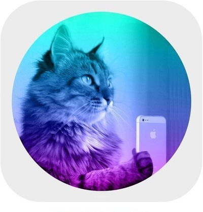 Илья Маслов