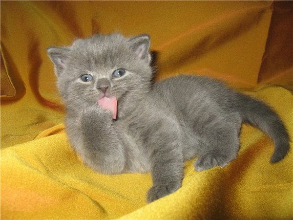 Неизвестно Неизвестно