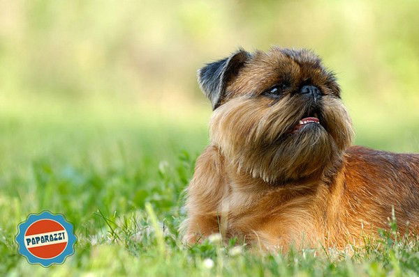 Ирина Проскурина