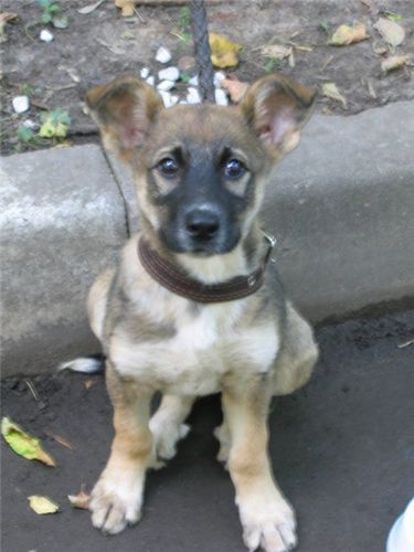 Ольга Моисеева