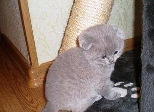 Людмила Герда