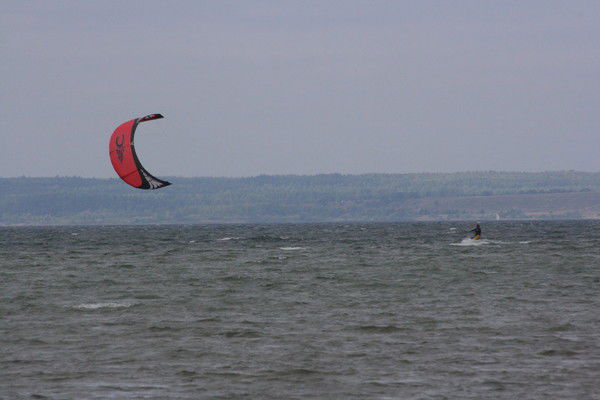 Тимофей Абрамов-Штаркман