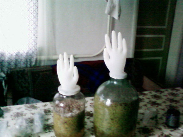 Виктор Степанов