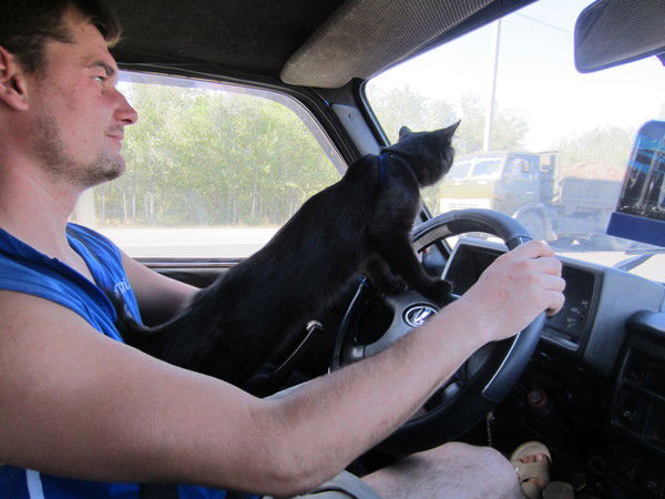 Роман Симоненко