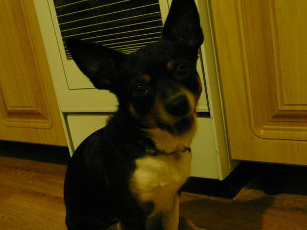 Лилия Боброва