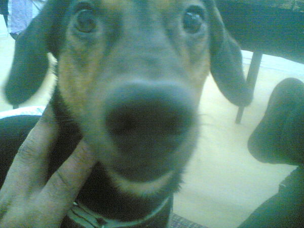 Виктория Смагина