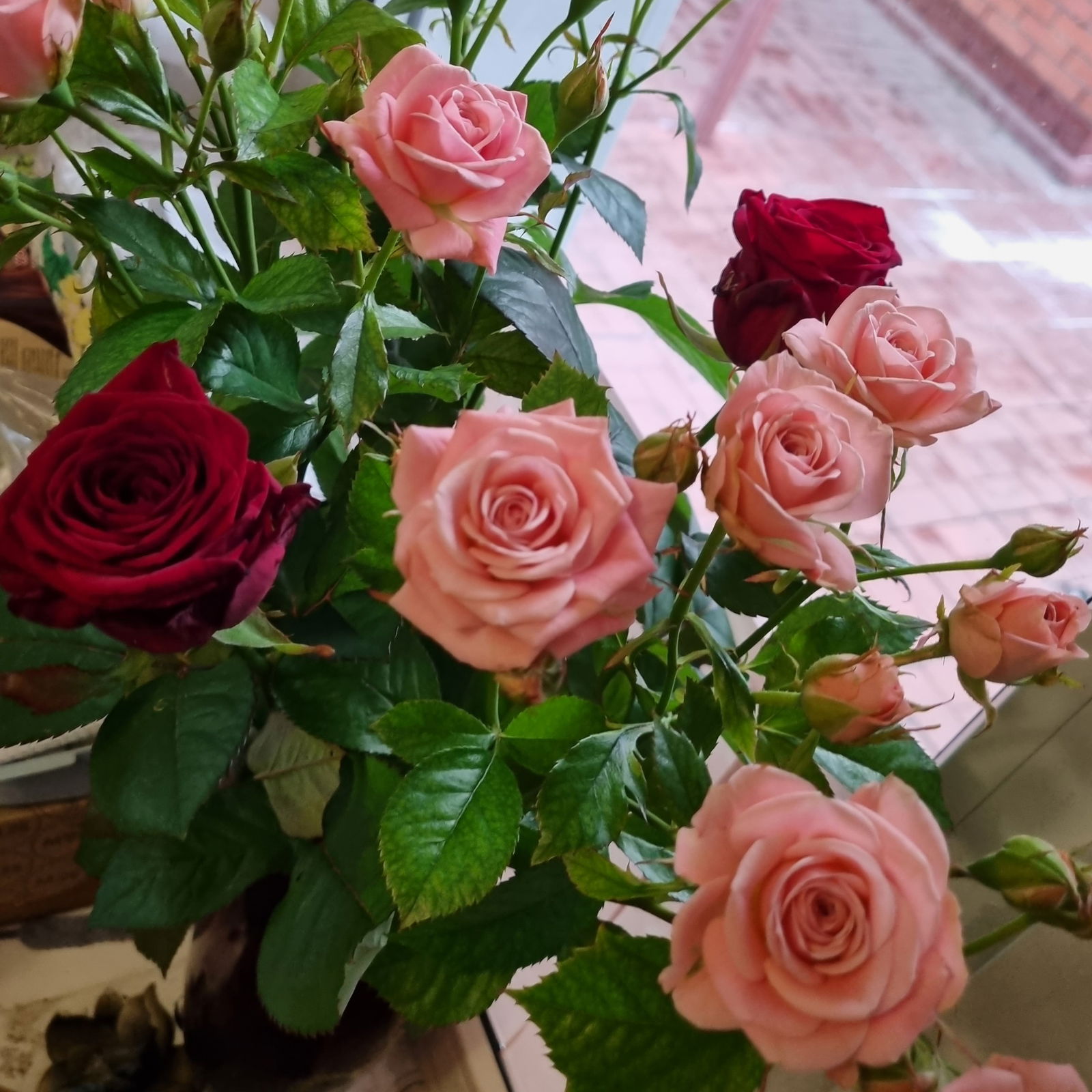 Олеся Галкина