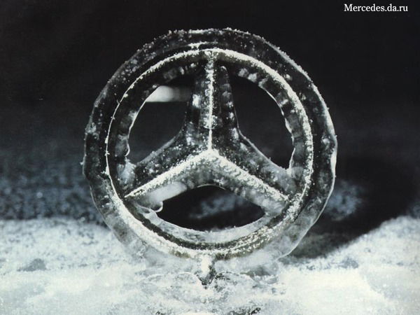 Сергей Стешенко