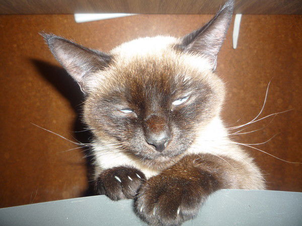 Ольга Ридель