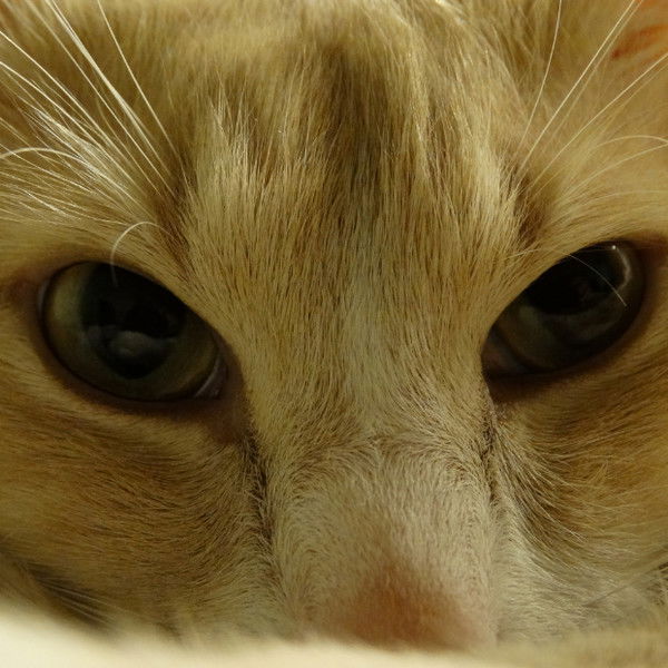 Александр -