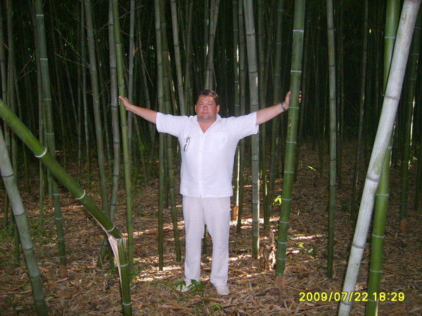 Андрей Ягодкин