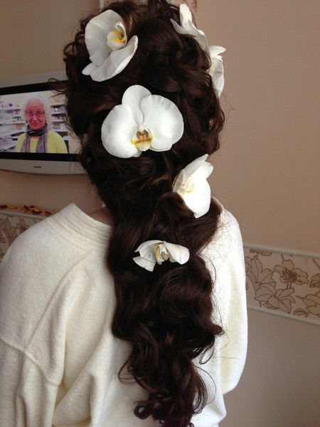 Елена Камыш