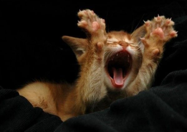 Мария Судакова