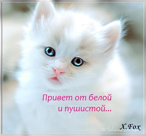 Окси 10 Окси 10