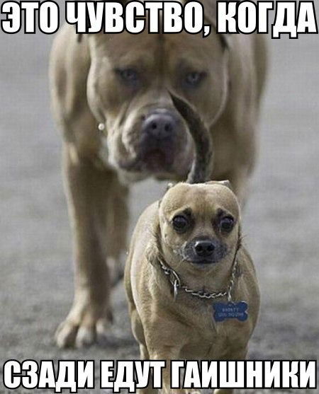 Рамил Ибрагтимов