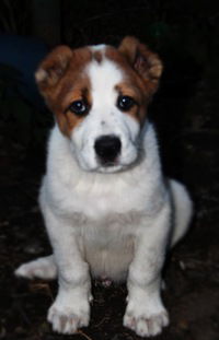 Владислав Кассихин