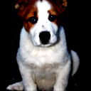 Владислав Кассихин