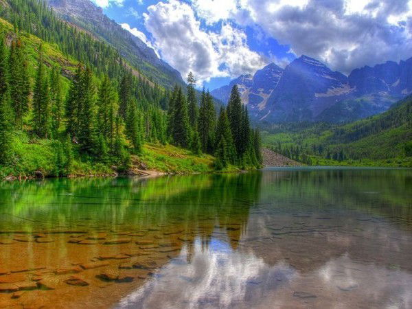 Эльвир Закиров