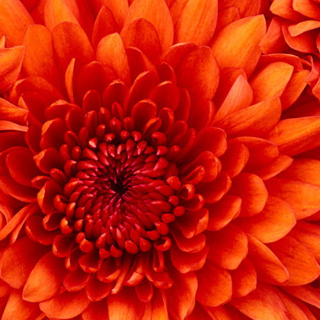 Наталья Юрчик