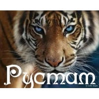 Рустам Гареев