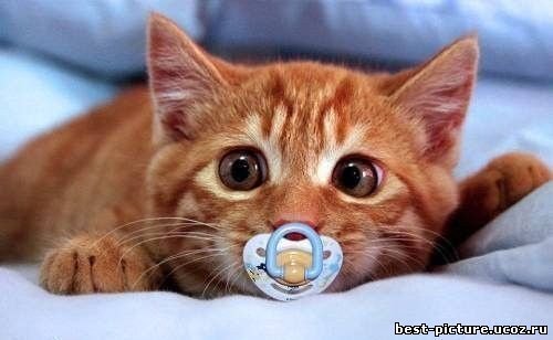 Оксана Новикова