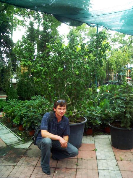 Руслан Шокан