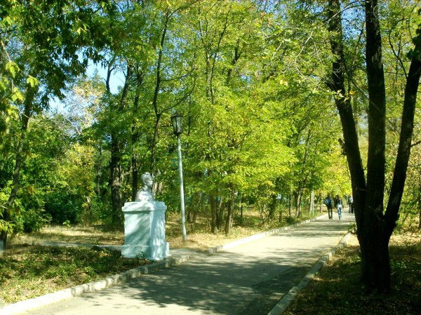 Александр Волошин