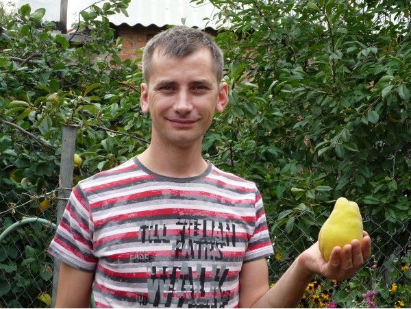 Владимир Воробьев