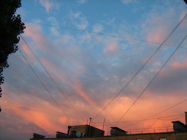 Ксения Кашина