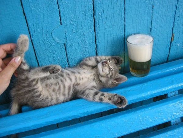 Николай Курепов