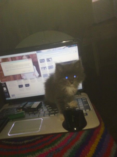 Дарина Пруцкова