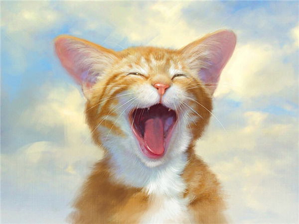 Александра Петрова (Бойцова)