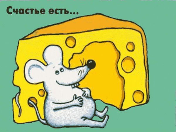 Светлана Васеничева