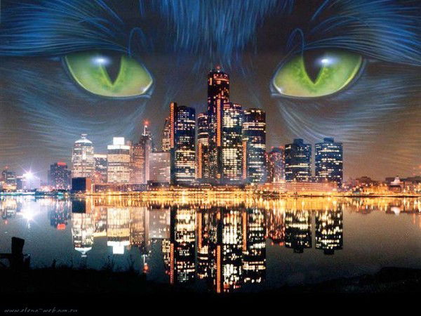 Александр Сукач