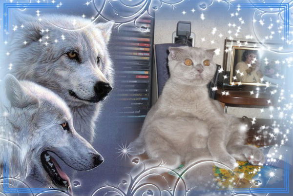 Андрей Мякотин