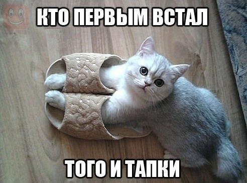 Роман Грабовский