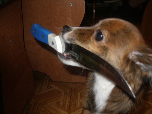 Танюша Галкина