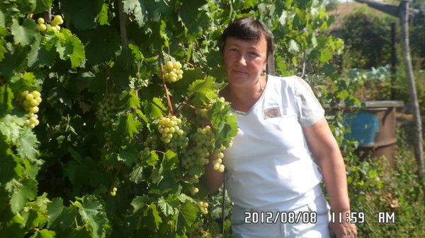 Татьяна Насибулина